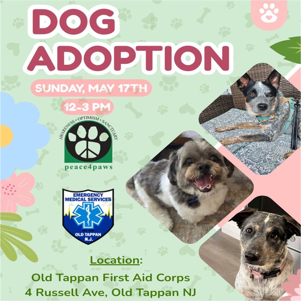 OTFAC Dog Adoption Event